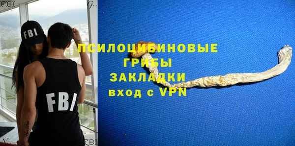 а пвп мука Абаза
