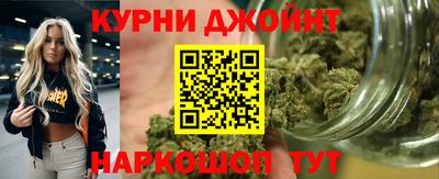 гидра Вязьма