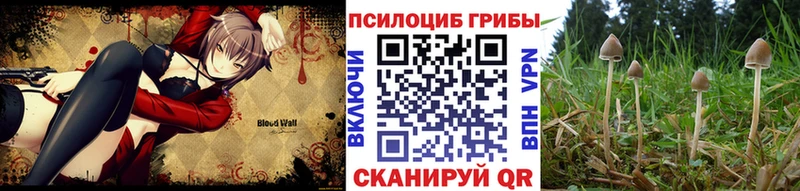 Псилоцибиновые грибы прущие грибы  дарнет шоп  Раменское 