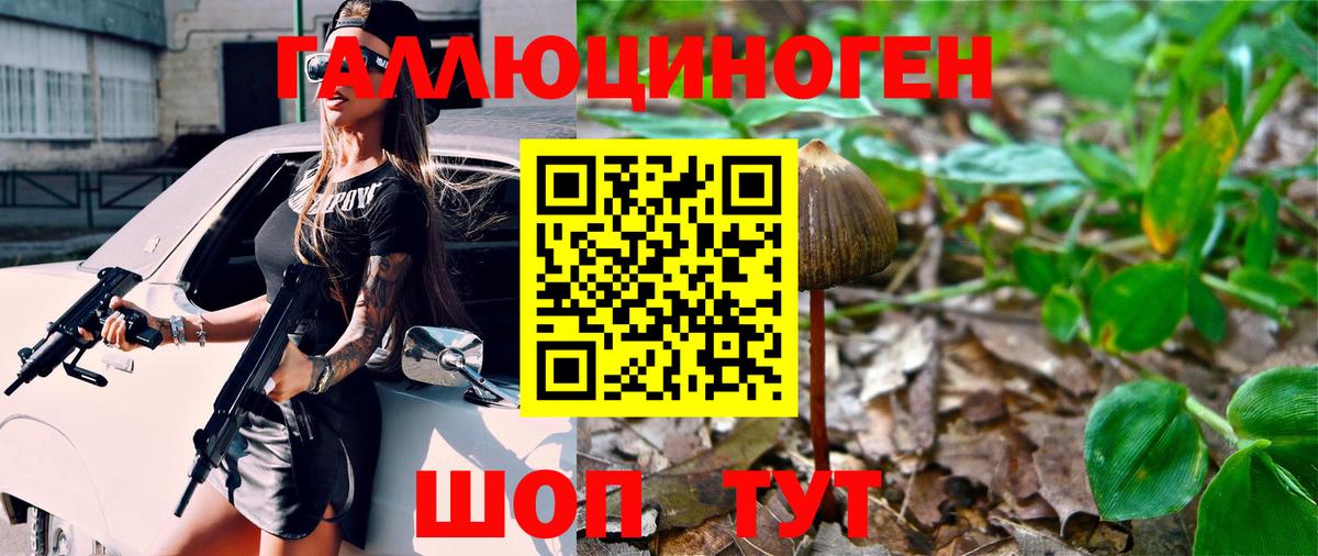 Псилоцибиновые грибы Cubensis Раменское